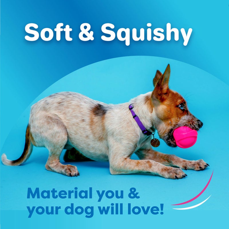 Hartz DuraPlay Bacon Scented Dog Toys, Small (Assorted Color) - Image 2