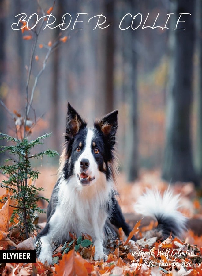 BLYYIEER 2025-2026 Wall Calendar,Border Collie Wall Calendar, 12" x 24" Open,Family Planner Calendar Organizer withBorder Collie Images, for Dogs Lovers - Image 1