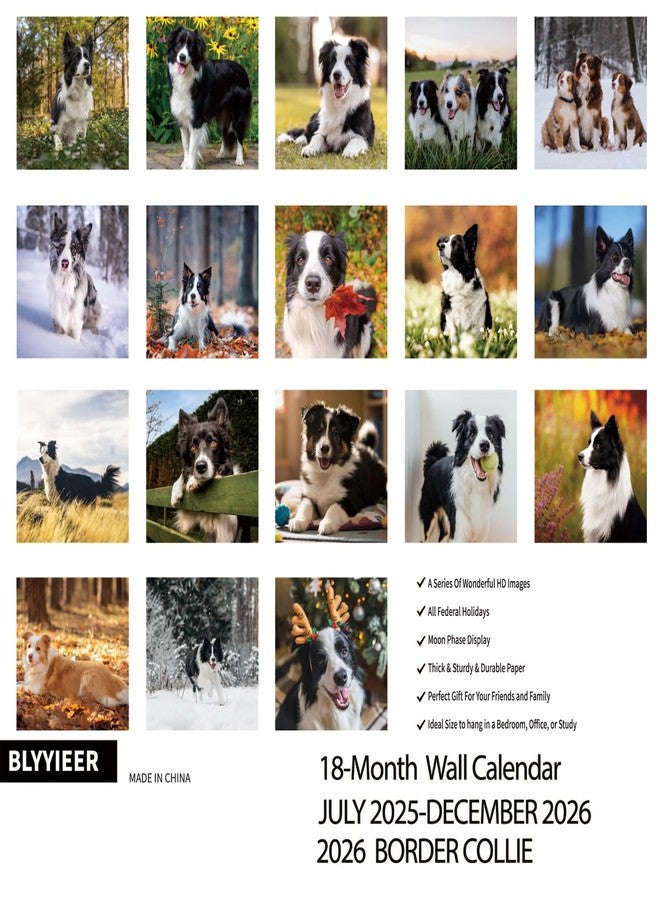BLYYIEER 2025-2026 Wall Calendar,Border Collie Wall Calendar, 12" x 24" Open,Family Planner Calendar Organizer withBorder Collie Images, for Dogs Lovers - Image 2