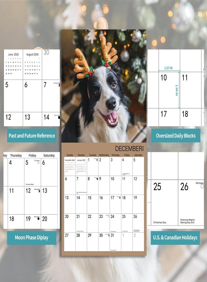 BLYYIEER 2025-2026 Wall Calendar,Border Collie Wall Calendar, 12" x 24" Open,Family Planner Calendar Organizer withBorder Collie Images, for Dogs Lovers - Image 3