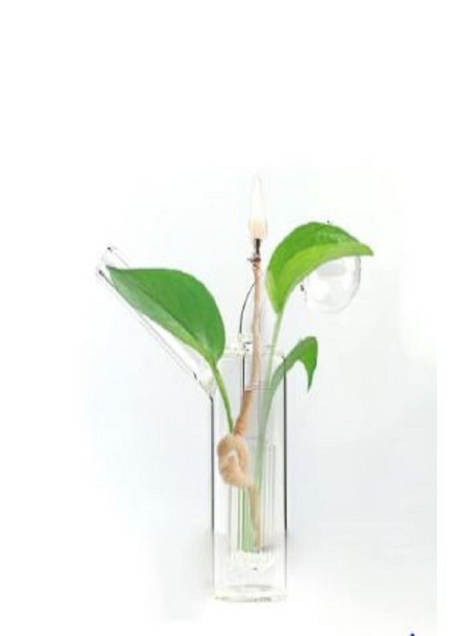 Handmade Home Decorative Mini Glass Flower Vase For Home And Office - Image 1