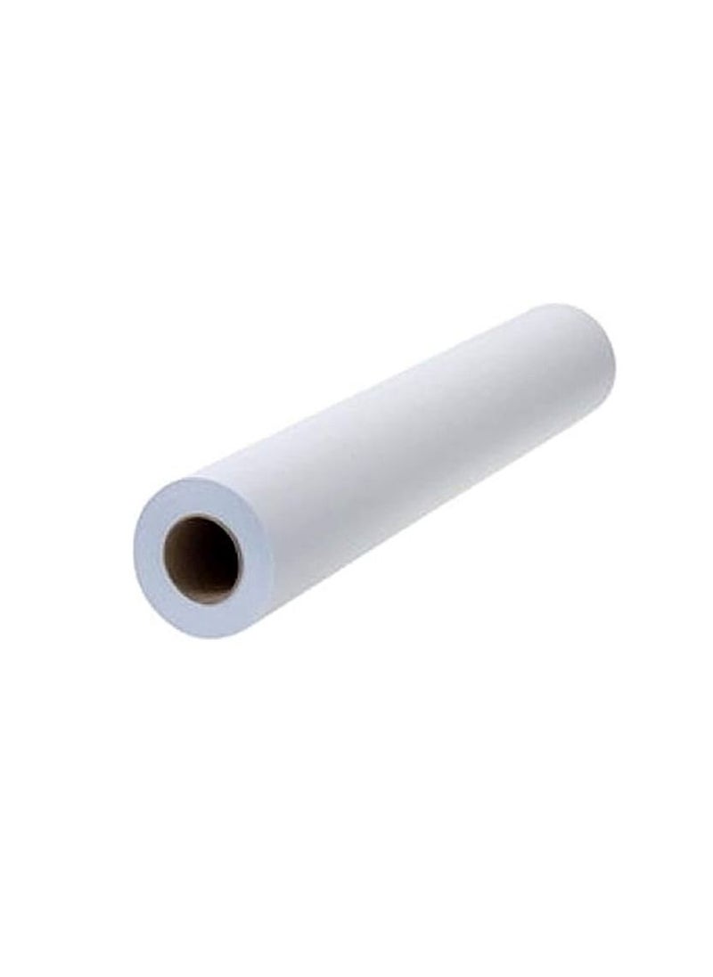 Terabyte TERABYTE PLOTTER PAPER ROLL 450MM X 50MM  - Image 1