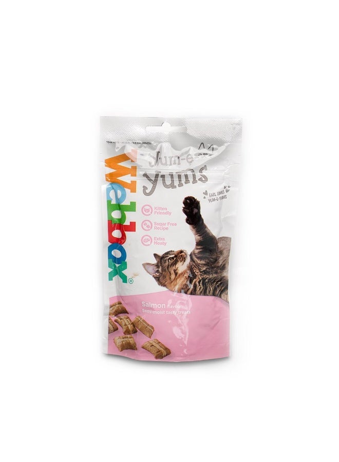 Cat Treats, Salmon - 40g, Germany