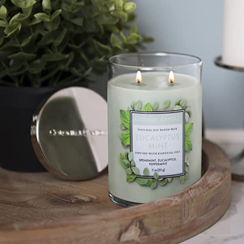 Colonial Candle Eucalyptus Mint Scented Jar Candle, Classic Cylinders Collection, 2 Wick, Green, 11 oz - Up to 80 Hours Burn - Image 5