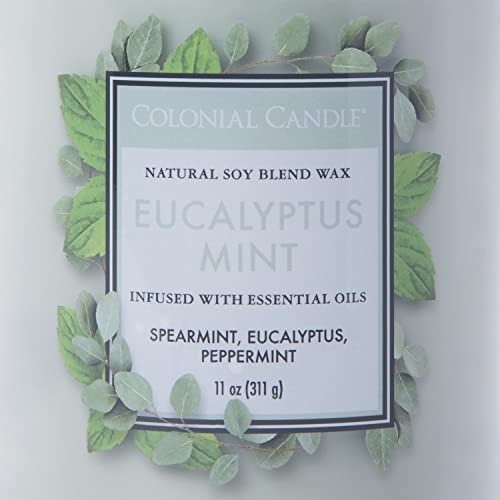 Colonial Candle Eucalyptus Mint Scented Jar Candle, Classic Cylinders Collection, 2 Wick, Green, 11 oz - Up to 80 Hours Burn - Image 4