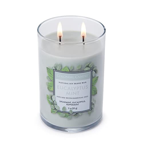 Colonial Candle Eucalyptus Mint Scented Jar Candle, Classic Cylinders Collection, 2 Wick, Green, 11 oz - Up to 80 Hours Burn - Image 3