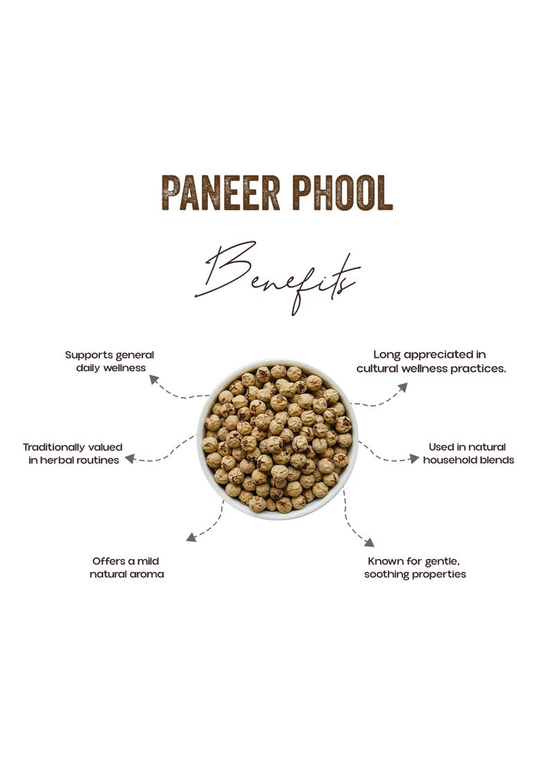 OGOC Paneer Phool (Withania coagulans, Indian Rennet Flower, Paneer Doda) - Image 2