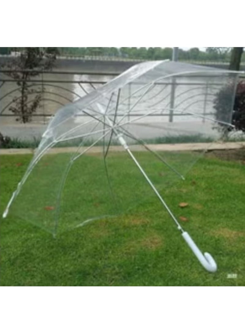Semi-automatic transparent umbrella 