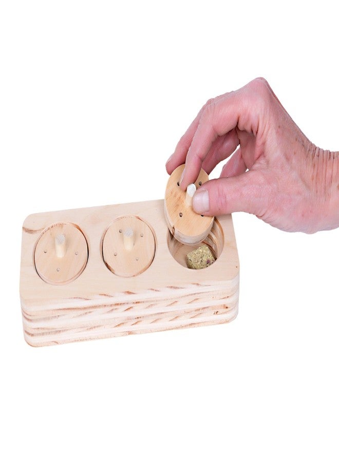 Small Pet Select- Wooden Lid & Drawer Puzzles Bundle - Image 5