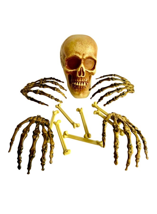 PartySanthe 12pcs Halloween Decorations Décor Skull Face Set Halloween Skull Decorations Skeleton Scary for Spooky Graveyard Haunted House Lawn Yard Decor Pack of 12pcs - Image 2