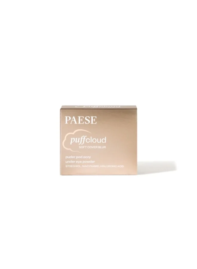 Paese  Puff Cloud Soft Cover Blur Under Eye Powder for Women | Best Price UAE