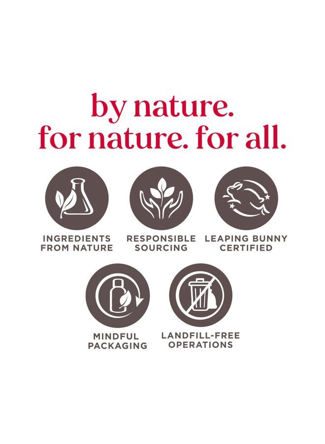 Burt's Bees Gifts Ideas - In Full Bloom Lip Balm Set, Original Beeswax, Dragonfruit Lemon, Tropical Pineapple & Strawberry, Natural Origin Lip Treatment, 4 Tubes, 0.15 oz. - Image 2