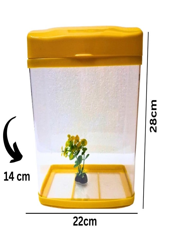 KSH STORE ® Aquarium Fish Tank with 7 Colour LED Light and Filter Pump,Plant,Food,Siphon Pump Thermometer,Capacity 7 Liter, 22 cm L x 14 cm W x 28 cm H, Transparent (Yellow, 7 Liter) PS-230 - Image 2
