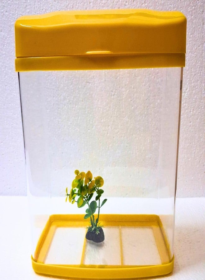KSH STORE ® Aquarium Fish Tank with 7 Colour LED Light and Filter Pump,Plant,Food,Siphon Pump Thermometer,Capacity 7 Liter, 22 cm L x 14 cm W x 28 cm H, Transparent (Yellow, 7 Liter) PS-230 - Image 3