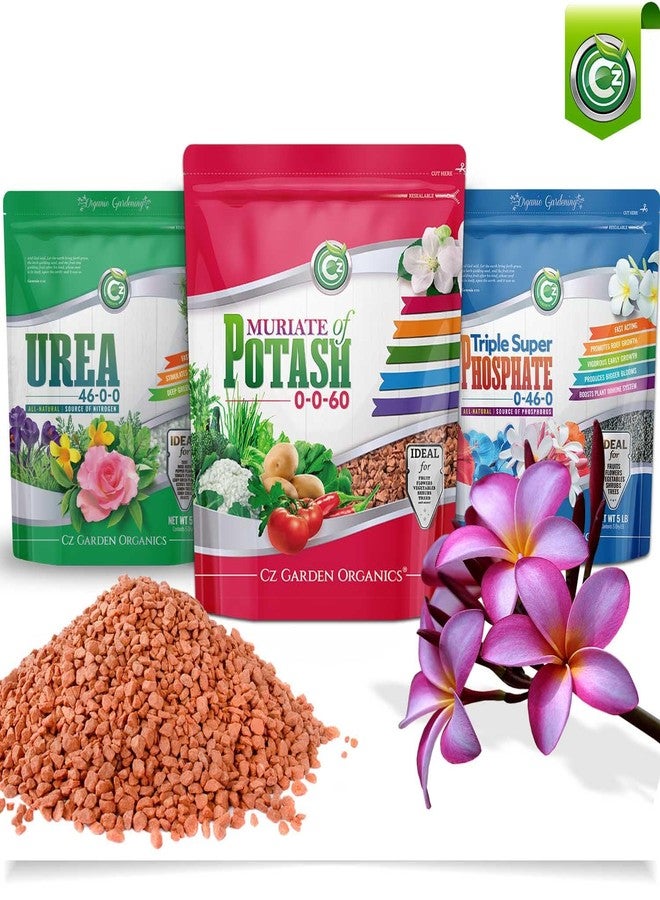 Cz Garden Supply سماد كلوريد البوتاسيوم 0-0-60، صنع في الولايات المتحدة الأمريكية - غذاء نباتي غني بالبوتاسيوم للنباتات وحدائق الزهور - يعزز الإزهار الكثيف! مناسب للفاكهة والخضراوات - Image 3