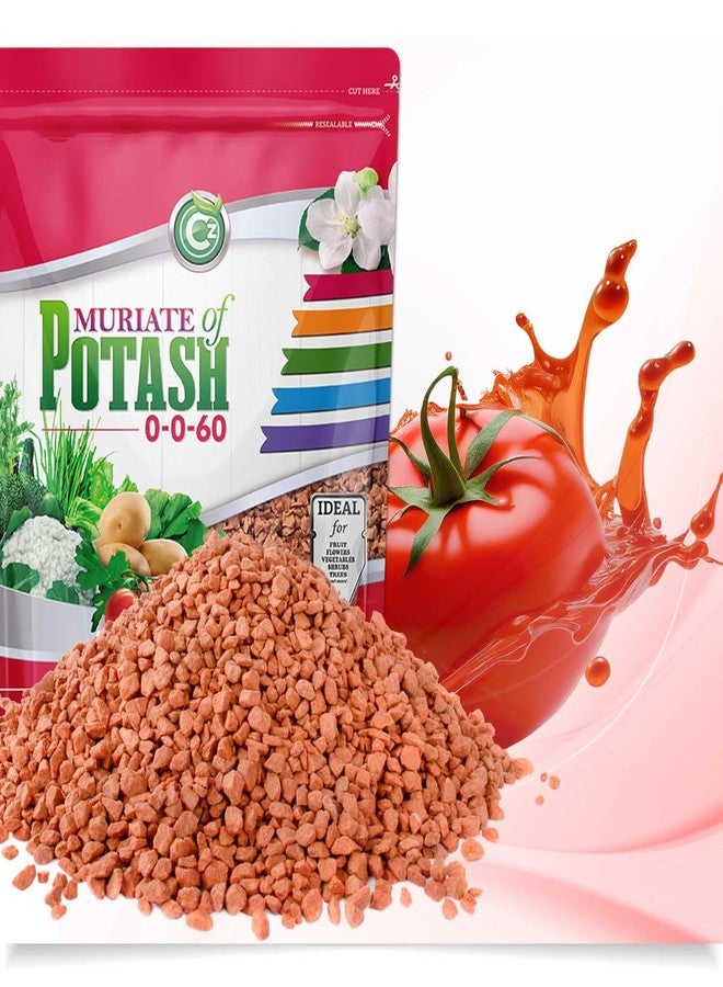 Cz Garden Supply سماد كلوريد البوتاسيوم 0-0-60، صنع في الولايات المتحدة الأمريكية - غذاء نباتي غني بالبوتاسيوم للنباتات وحدائق الزهور - يعزز الإزهار الكثيف! مناسب للفاكهة والخضراوات - Image 2