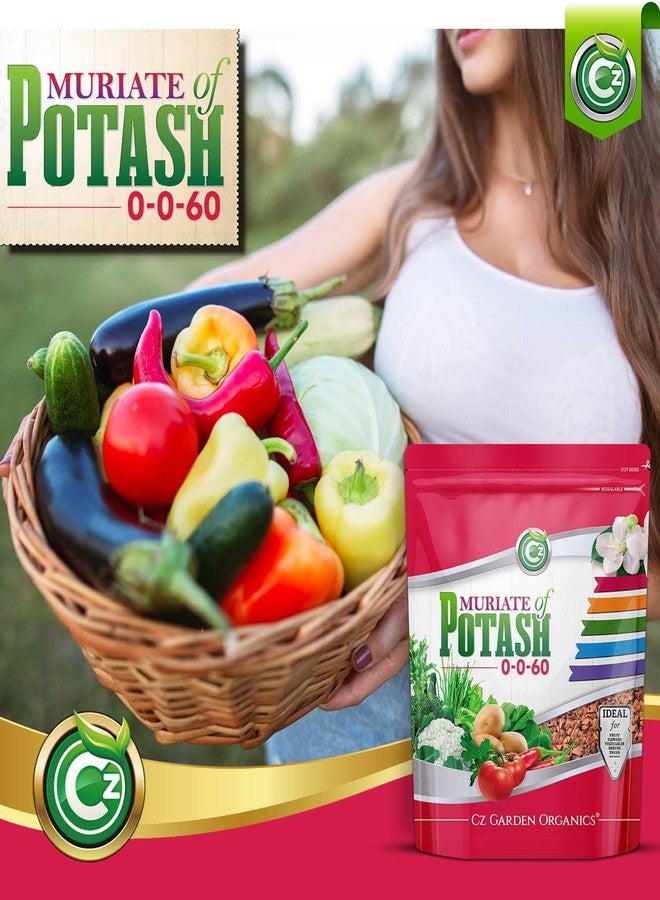 Cz Garden Supply سماد كلوريد البوتاسيوم 0-0-60، صنع في الولايات المتحدة الأمريكية - غذاء نباتي غني بالبوتاسيوم للنباتات وحدائق الزهور - يعزز الإزهار الكثيف! مناسب للفاكهة والخضراوات - Image 5