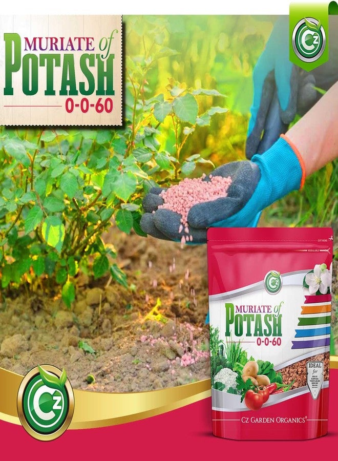 Cz Garden Supply سماد كلوريد البوتاسيوم 0-0-60، صنع في الولايات المتحدة الأمريكية - غذاء نباتي غني بالبوتاسيوم للنباتات وحدائق الزهور - يعزز الإزهار الكثيف! مناسب للفاكهة والخضراوات - Image 4