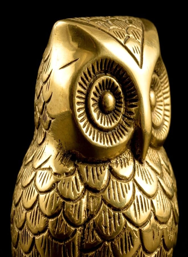 DealFry Brass Owl Statue for Good Luck, Brass Handmade Sculpture Showpiece for Home Decor, Metal Owl Idol for Vastu & Feng Shui, Small Decorative Owl Figurine, Tabletop Shelf Decoration (Medium) - Image 4