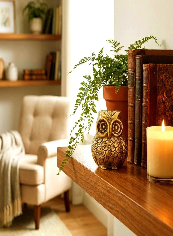 DealFry Brass Owl Statue for Good Luck, Brass Handmade Sculpture Showpiece for Home Decor, Metal Owl Idol for Vastu & Feng Shui, Small Decorative Owl Figurine, Tabletop Shelf Decoration (Medium) - Image 3