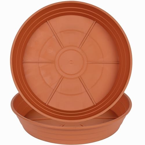 LWALRS Plant Saucer 14 Inch 2 Pack 6 8 10 12 14 16 18 20 25, Plastic Plant Trays for Pots，Extra-Deep Plant Water Dray Tray, Bird Bath Bowl, Heavy Flower Plant Saucers Indoors and Outdoor No Holes - Image 1