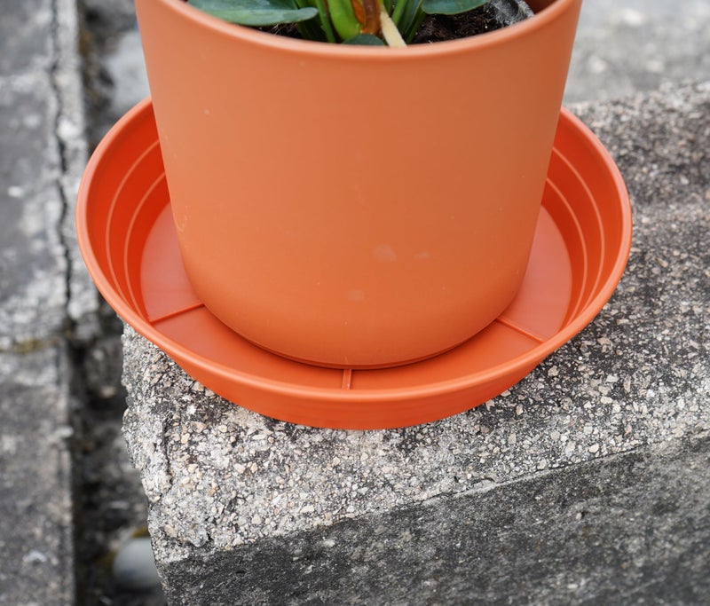 LWALRS Plant Saucer 14 Inch 2 Pack 6 8 10 12 14 16 18 20 25, Plastic Plant Trays for Pots，Extra-Deep Plant Water Dray Tray, Bird Bath Bowl, Heavy Flower Plant Saucers Indoors and Outdoor No Holes - Image 4