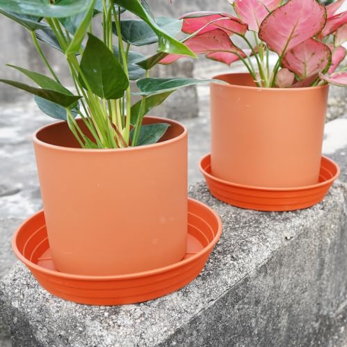 LWALRS Plant Saucer 14 Inch 2 Pack 6 8 10 12 14 16 18 20 25, Plastic Plant Trays for Pots，Extra-Deep Plant Water Dray Tray, Bird Bath Bowl, Heavy Flower Plant Saucers Indoors and Outdoor No Holes - Image 5