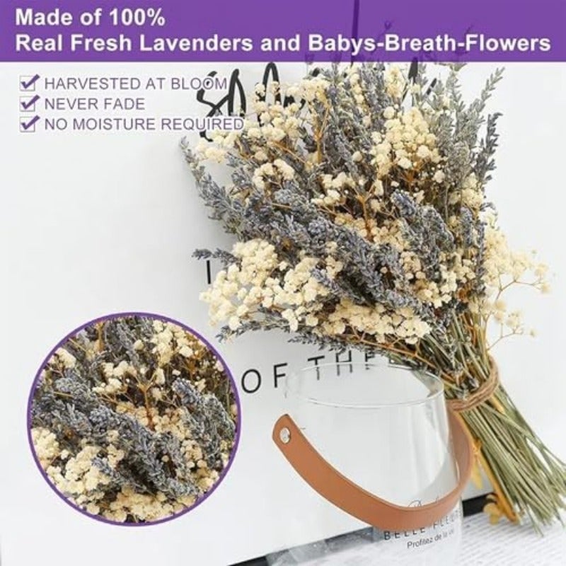 100 Dried Lavender 5 Baby's Breath Flowers Bundles Dried Flower Bouquet for Vase Natural Gypsophila Valentines Day Decor Present for Home Wedding Photography Floral Arrangement DIY - Image 2