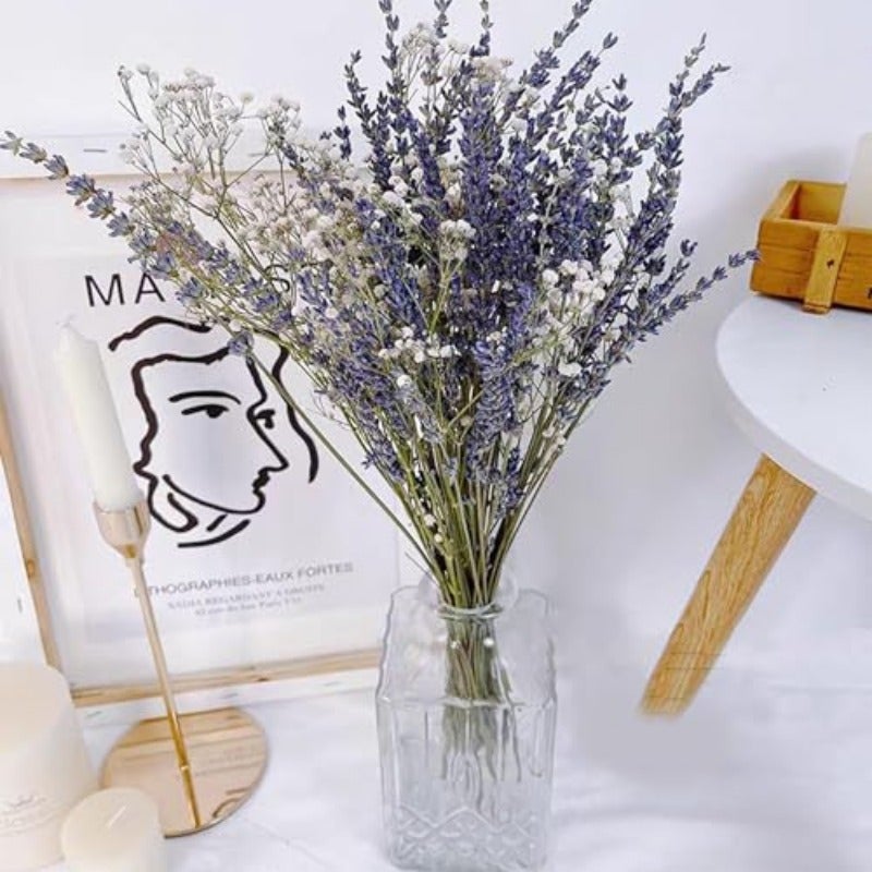 100 Dried Lavender 5 Baby's Breath Flowers Bundles Dried Flower Bouquet for Vase Natural Gypsophila Valentines Day Decor Present for Home Wedding Photography Floral Arrangement DIY - Image 4