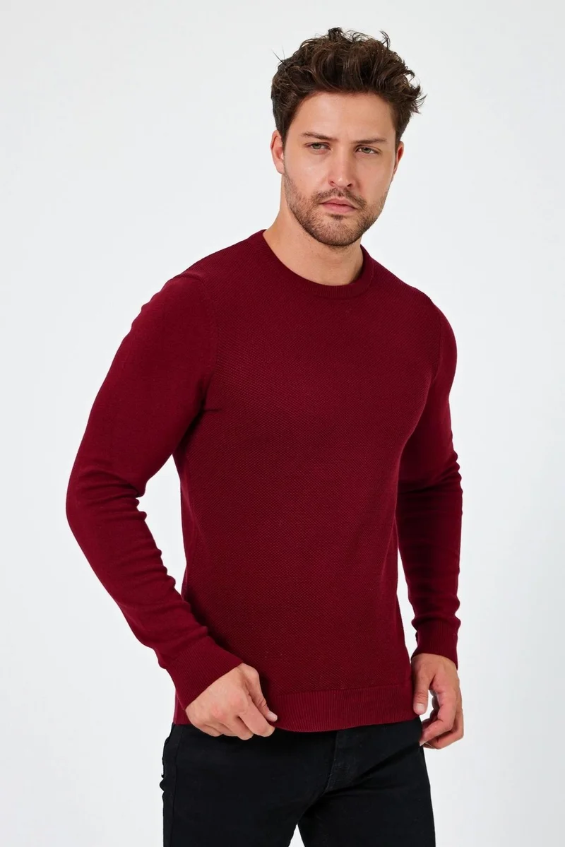 الكسندر جاردي Crew Neck Regular Fit Sweater (E24-EZE-03)