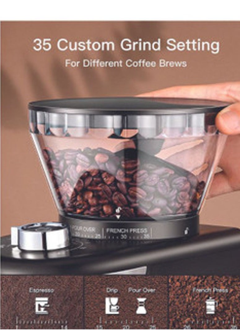 Arshia Arshia Premium Coffee Grinder  - Image 3