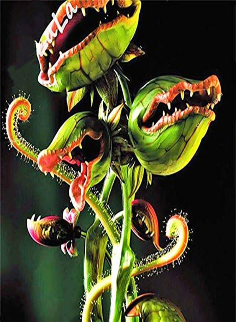 GGOOT 100Pcs/Pack Flytrap Seeds Garden Potted Dionaea Muscipula Giant Carnivorous Plant Seeds - 3 - Image 2