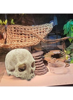 Kathson kathson Reptile Habitat Skull Decoration Bearded Dragon Tank Accessories Resin Human Skulls Hide Cave Hanging Vines Plant for Lizards Tortoise Snake Chameleon Spider Reptiles Amphibians(4 PCS)  - Image 5