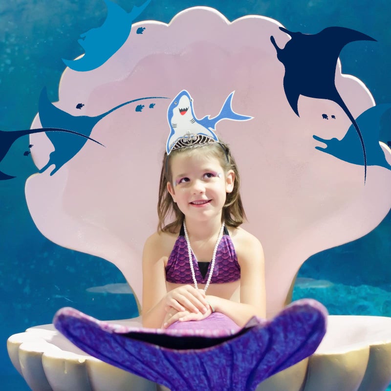 Yinder 24 Pieces Sea Animal Party Headband Under the Sea Party Decorations Ocean Themed Party Decorations Ocean Party Favors Felt Ocean Animal Headbands for Boys Girls Kids Adults Party Supplies - Image 4