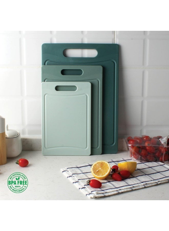 COOK WITH COLOR COOK WITH COLOR Cutting Board Set- 3 Pc. Kitchen Cutting Board Set - Large, Medium and Small Cutting Boards with Non Slip Bottom for Meat, Veggies, Fruits, Easy Grip Handle  - Image 2