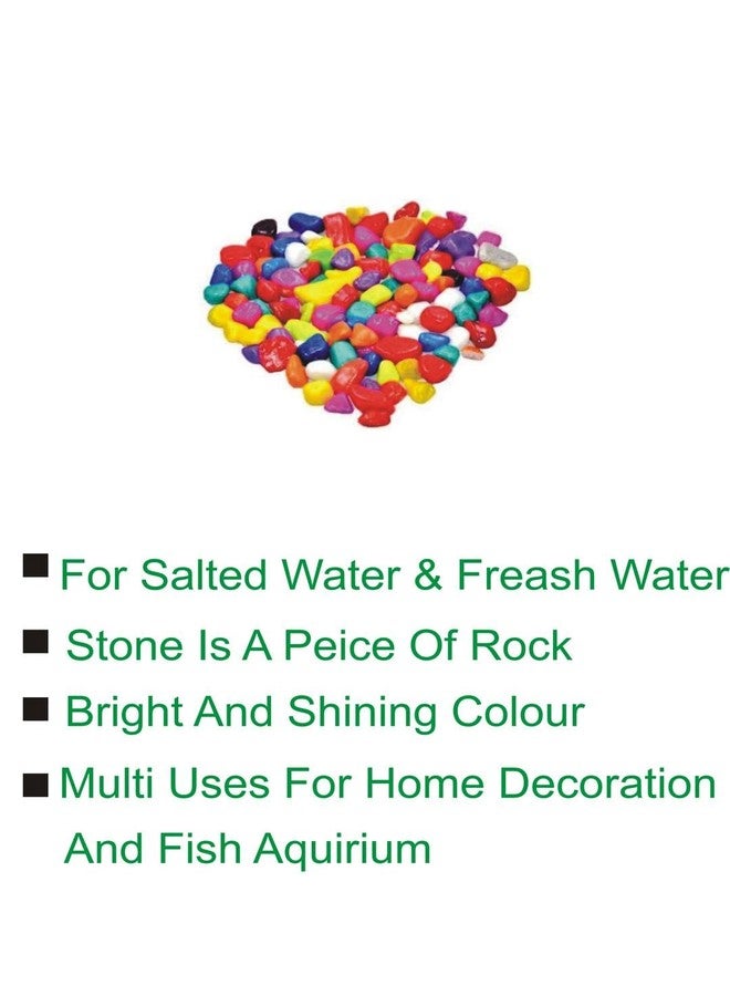 Somil Multicolor Pebbles & Stones (10-30 mm) for Garden, Lawn, Plants, Aquarium, Fish Pots, Vases & Home Decor - Image 2
