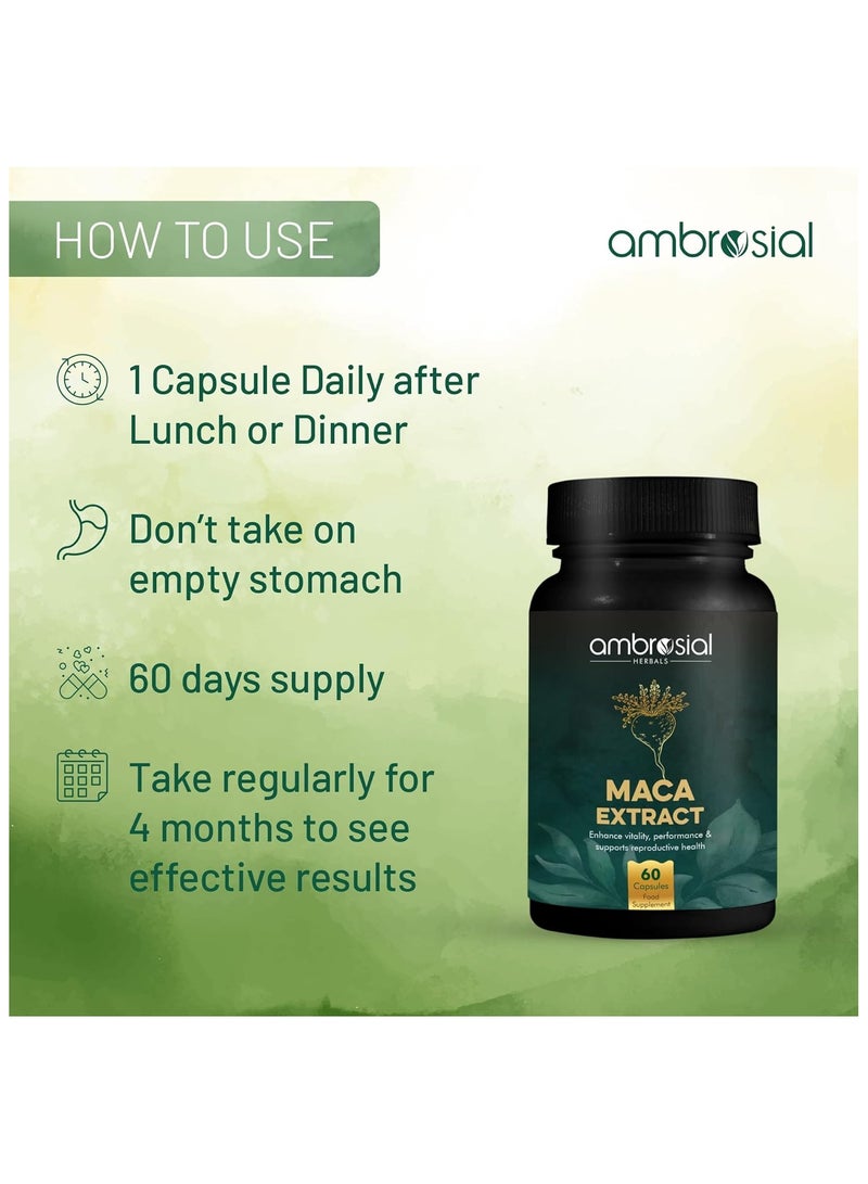 Ambrosial 500mg Maca Root Capsules for Men & Women 60 Capsules - Image 3