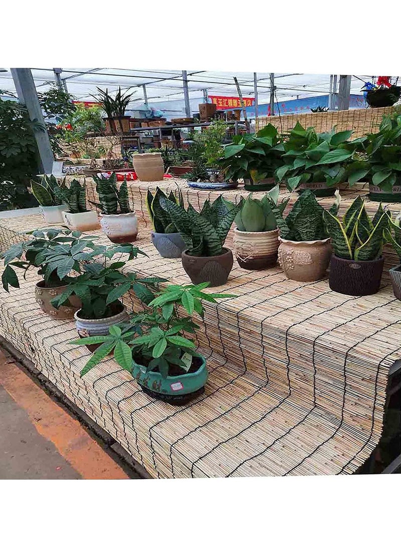 LINGWEI Natural Bamboo Blinds Window Curtain Privacy Screen For Outdoor Patios Light Filtering Hanging Blinds Beige 200x122cm - Image 4