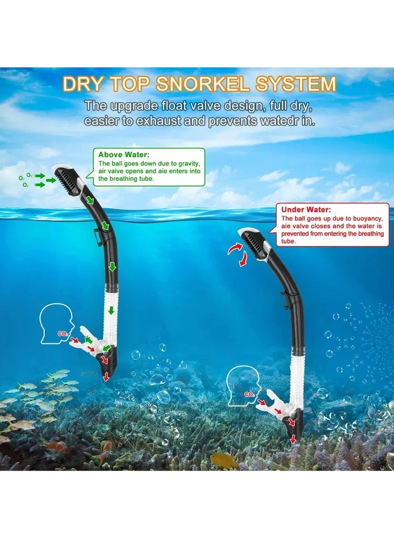 Dry Snorkel Set Diving Mask For Adults Tempered Glass Professional Panoramic Snorkeling Gear Swimming Training Snorkel Kit