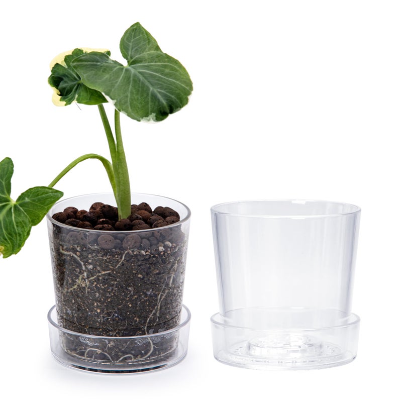 Phoenix Vine 45 Inch Clear Acrylic Planter Pot with Tray Orchid Pot with Drainage Holes Deep Saucer for Bottom Watering Transparent Containers for Indoor Plants Herbs Set of 2 91AE2