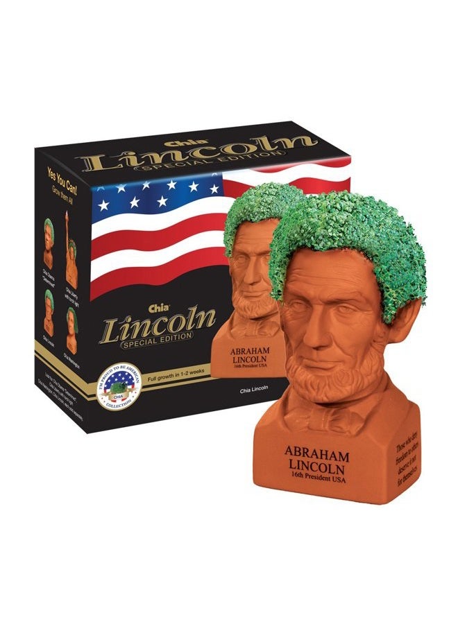 Pet Abraham Lincoln, Decorative Pottery Planter, Freedom of Choice, Easy To Do and Fun To Grow, Novelty Gift, Perfect For Any Occasion