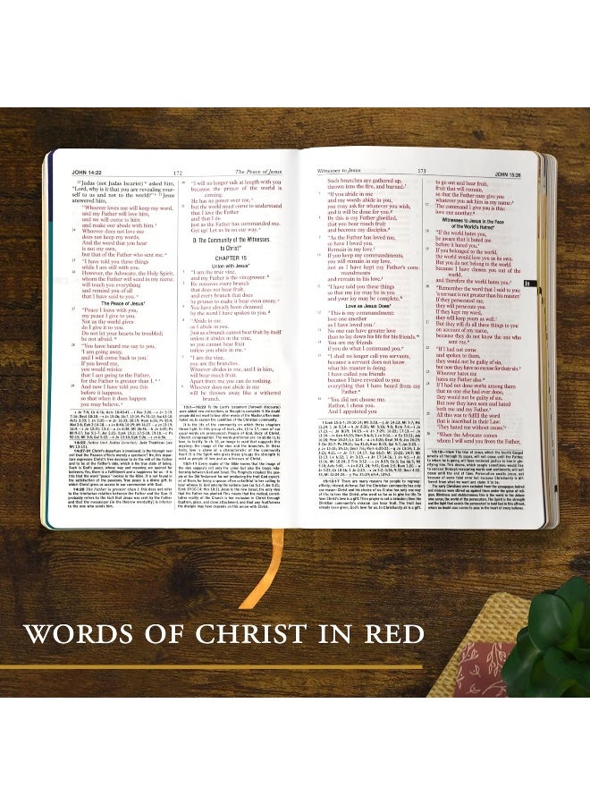 Catholic Book Publishing New Bible for Youth  - Image 3