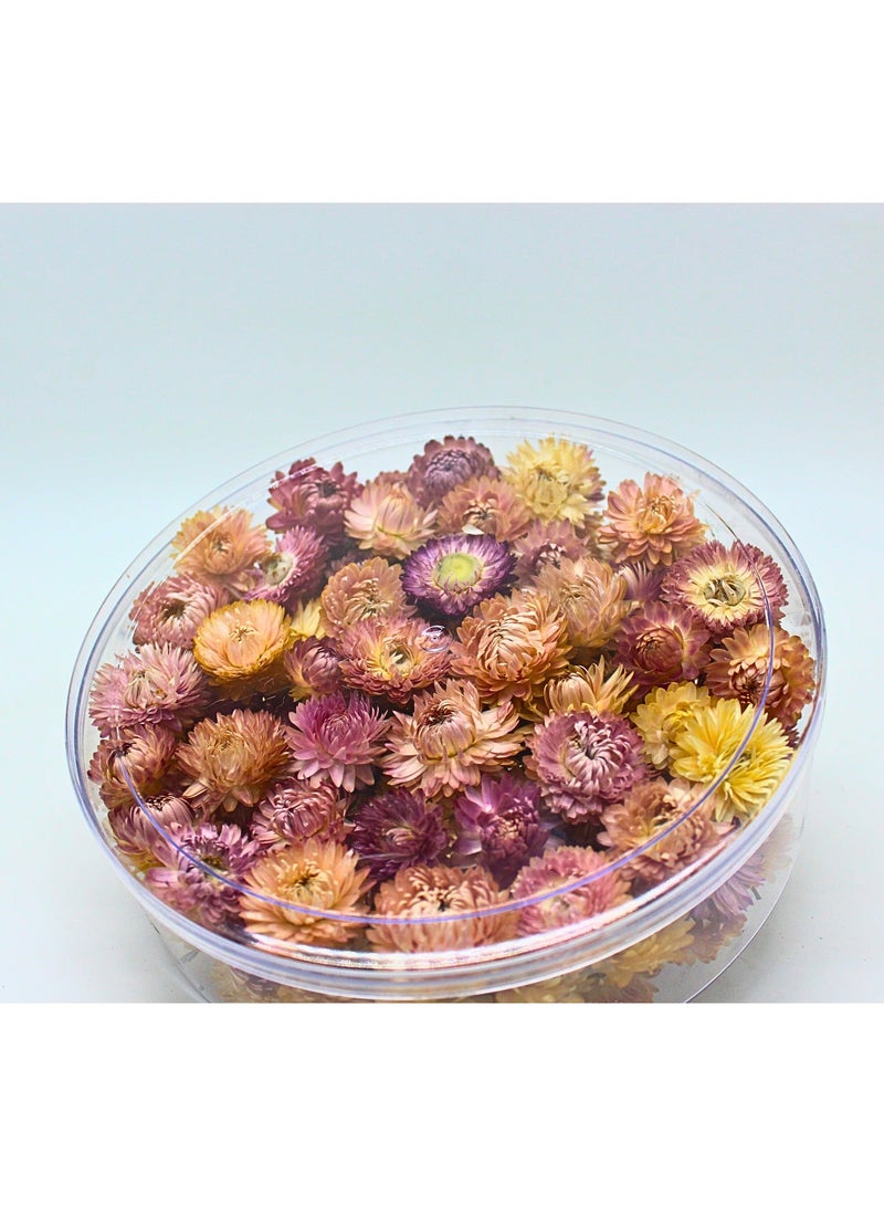 FANCY FLOWERS FANCY F Dried Helichrysum Flowers, Natural Assorted White Pink Yellow, 50 Bundle, Gift Box, 40g-150 g (PINK, ROUND LARGEL) - Image 2