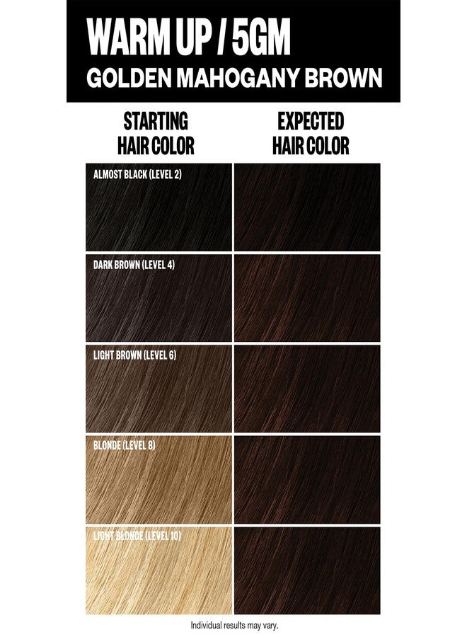 IGK Permanent Hair Dye Color Kit | 5GM Warm Up - Golden Mahogany Brown | 100% Gray Color Coverage + Strengthen + Shine | Ammonia Free - Image 4