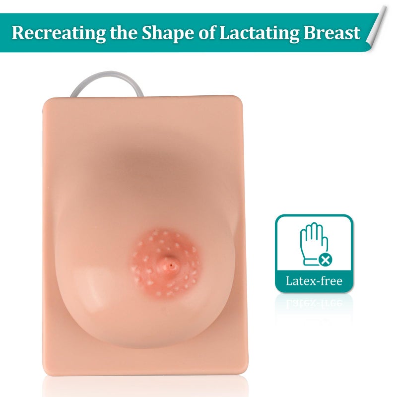 MedEduQuest Lactation Breast Model for Breastfeeding Massage Education, Artificial Breastfeeding Educational Tool for Lactation Consultant, Left - Image 4