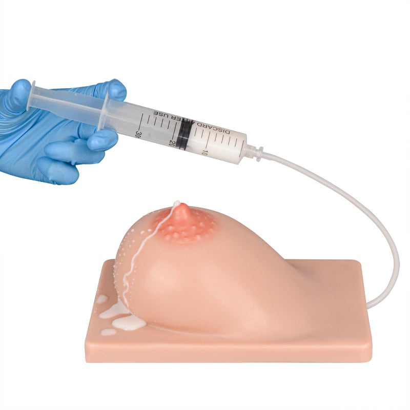 MedEduQuest Lactation Breast Model for Breastfeeding Massage Education, Artificial Breastfeeding Educational Tool for Lactation Consultant, Left - Image 3