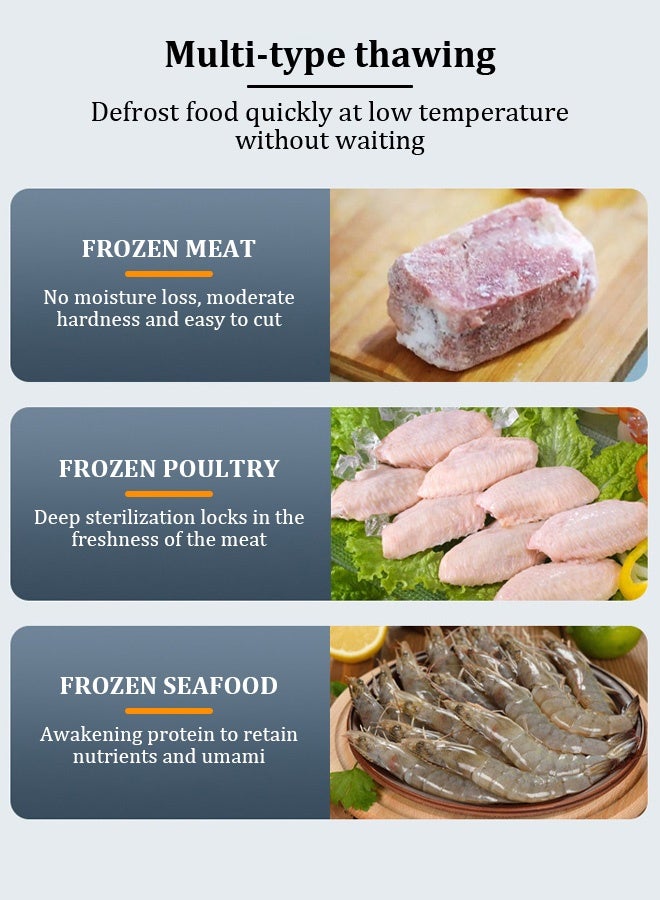 Frozen meat defrosting machine, fast and safe defrosting of food, ultraviolet sterilization, can be used for food defrosting, sterilization and water draining. - Image 4