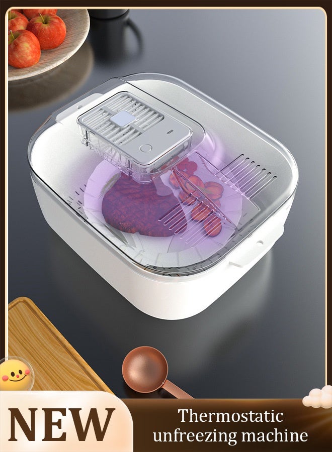 Frozen meat defrosting machine, fast and safe defrosting of food, ultraviolet sterilization, can be used for food defrosting, sterilization and water draining. - Image 1