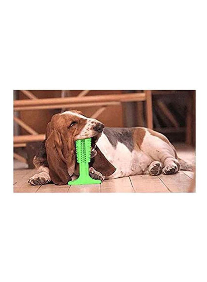 NIBEMINENT Dog Toothbrush Chew Toy Dental Care Doggy Bite Brushing Stick Teeth Cleaner Non-Toxic Natural Rubber Resistant Toys For Medium Large Cleaning Green - Image 2