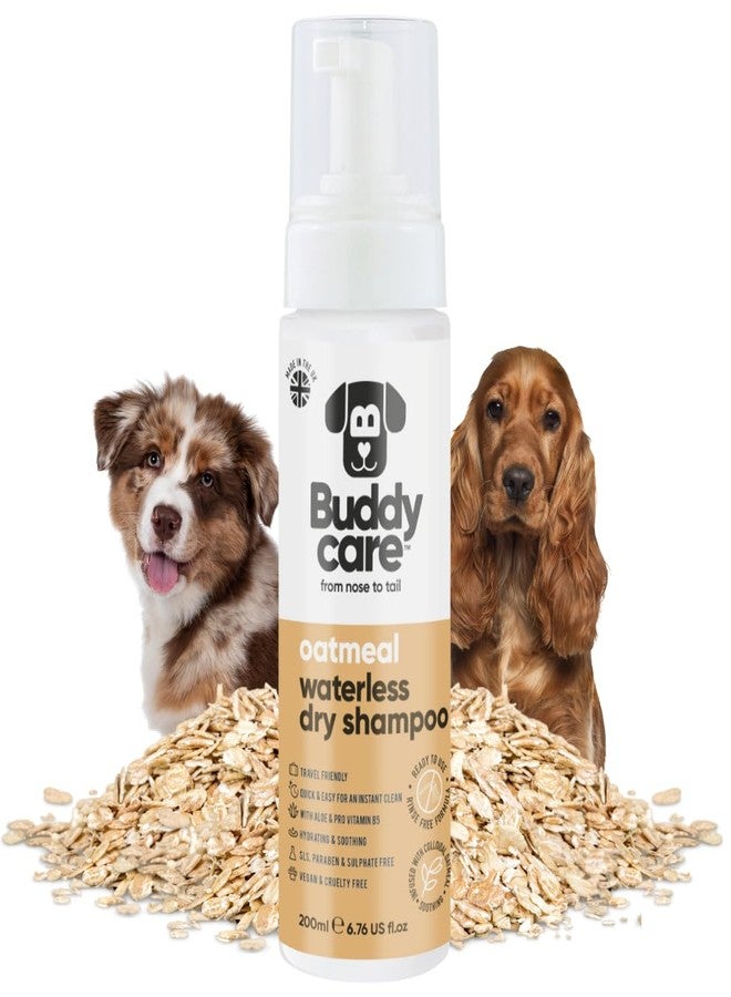 Buddycare شامبو جاف للكلاب بدون ماء بخلاصة الشوفان من بادي كير | شامبو منظف عميق للكلاب | برائحة منعشة | مع خلاصة الصبار وبروفيتامين B5 (6.75 أونصة سائلة) - Image 1